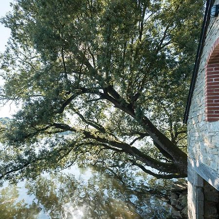 Domaine De L'Orangerie De Lanniron Hotel Кимпер Екстериор снимка